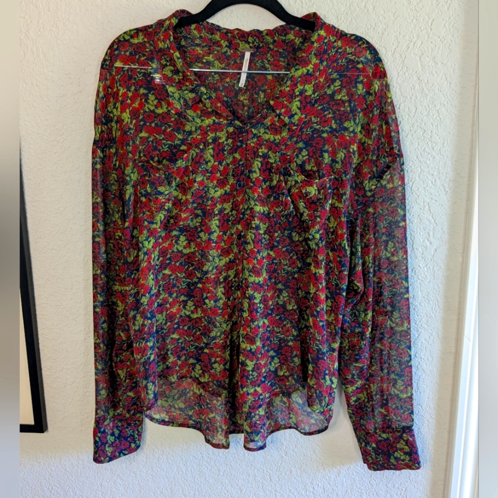 Free People Sheer Blouse Long Sleeves Button Up Collar Whimsigoth Fairy